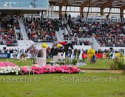 PHILIPPAERTS L DENVER LaBaule2013- S5 6448 : 2013, DENVER, La Baule, PHILIPPAERTS LUDO, foto di Stefano Secchi ©